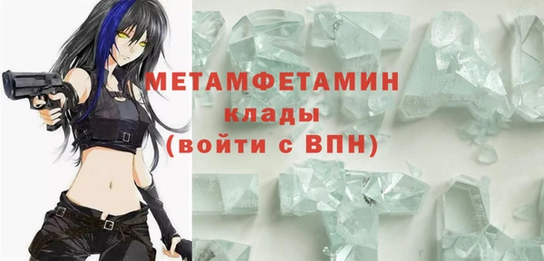 ГАЛЛЮЦИНОГЕННЫЕ ГРИБЫ Осинники