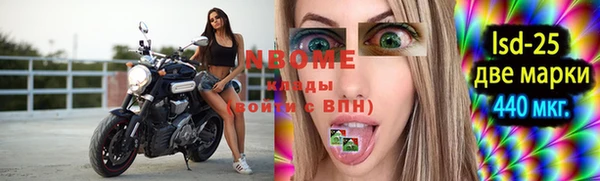 ГАЛЛЮЦИНОГЕННЫЕ ГРИБЫ Осинники