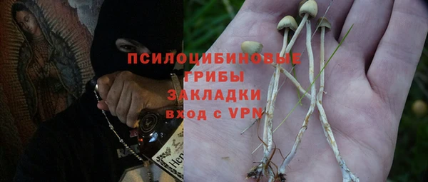 ГАЛЛЮЦИНОГЕННЫЕ ГРИБЫ Осинники