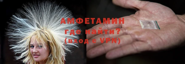 ГАЛЛЮЦИНОГЕННЫЕ ГРИБЫ Осинники
