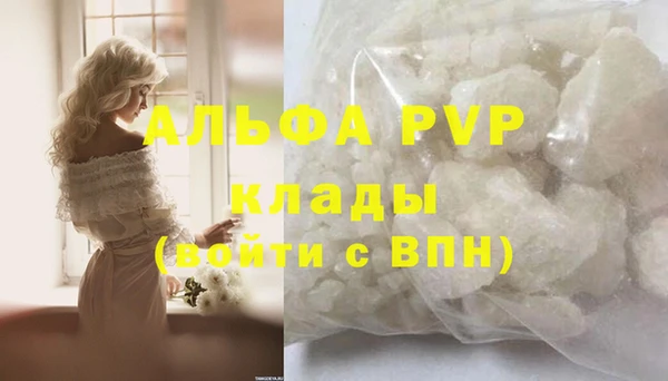 ГАЛЛЮЦИНОГЕННЫЕ ГРИБЫ Осинники