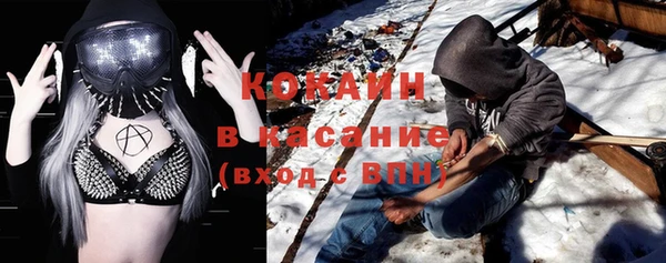 ГАЛЛЮЦИНОГЕННЫЕ ГРИБЫ Осинники