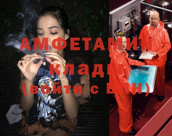 ГАЛЛЮЦИНОГЕННЫЕ ГРИБЫ Осинники