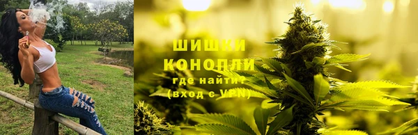 ГАЛЛЮЦИНОГЕННЫЕ ГРИБЫ Осинники