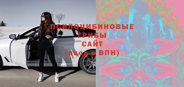 ГАЛЛЮЦИНОГЕННЫЕ ГРИБЫ Осинники